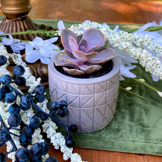 A single succulent wedding favor on a wedding tablescape adjacent to the contact form.