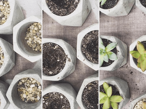 Split screen showing the 3 stages of a DIY succulent kit with a cement pot including the rocks, soil, and succulents.