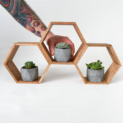 Triple Hexagon Shelf